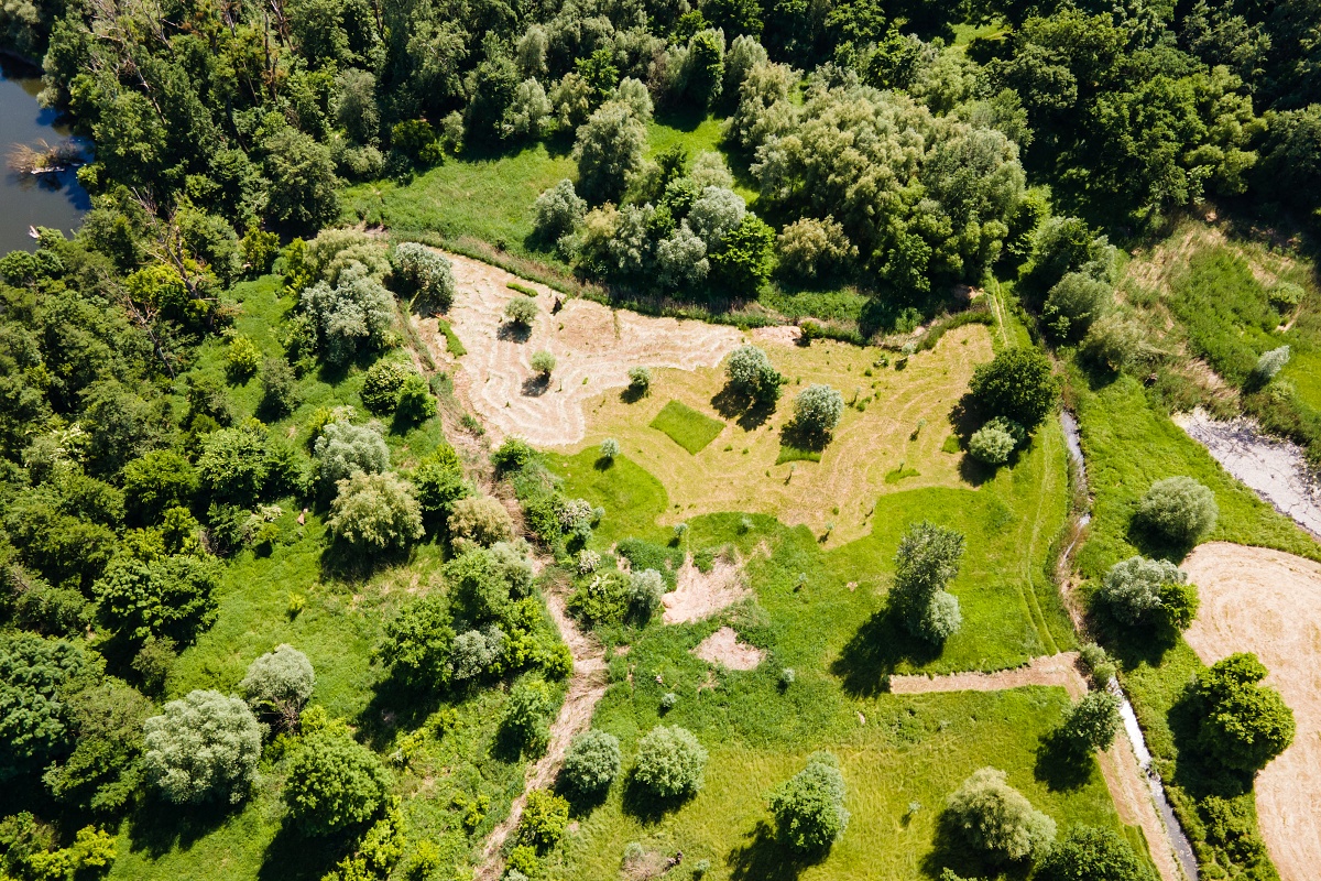 Mozaiková seč v NPR Křivé jezero.