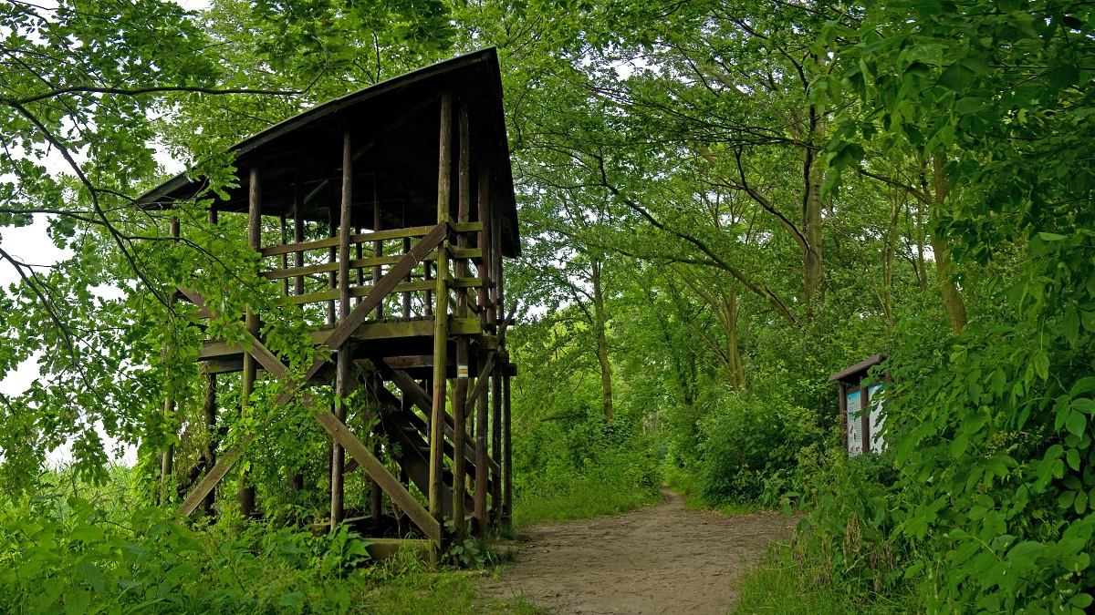 Ptačí pozorovatelna.