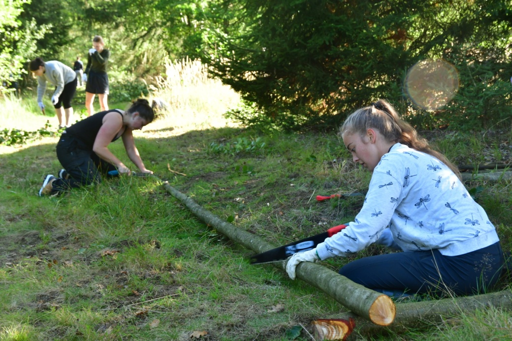 Studenti řežou kmen pilou.