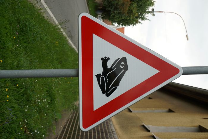 Znacka_zaba