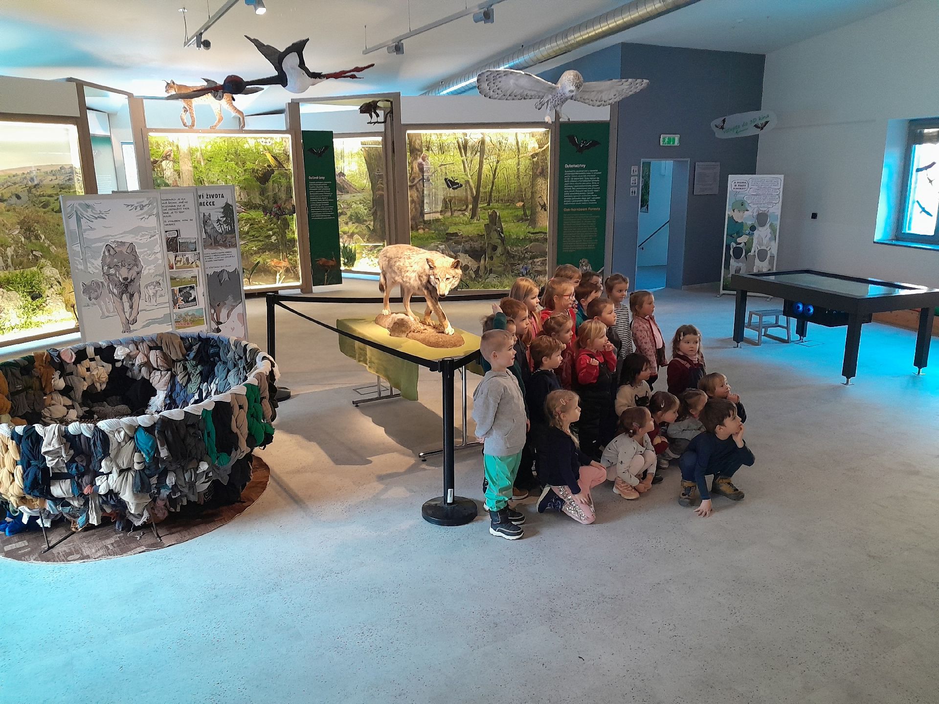 Děti na výstavě o vlkovi v Domě přírody Moravského krasu