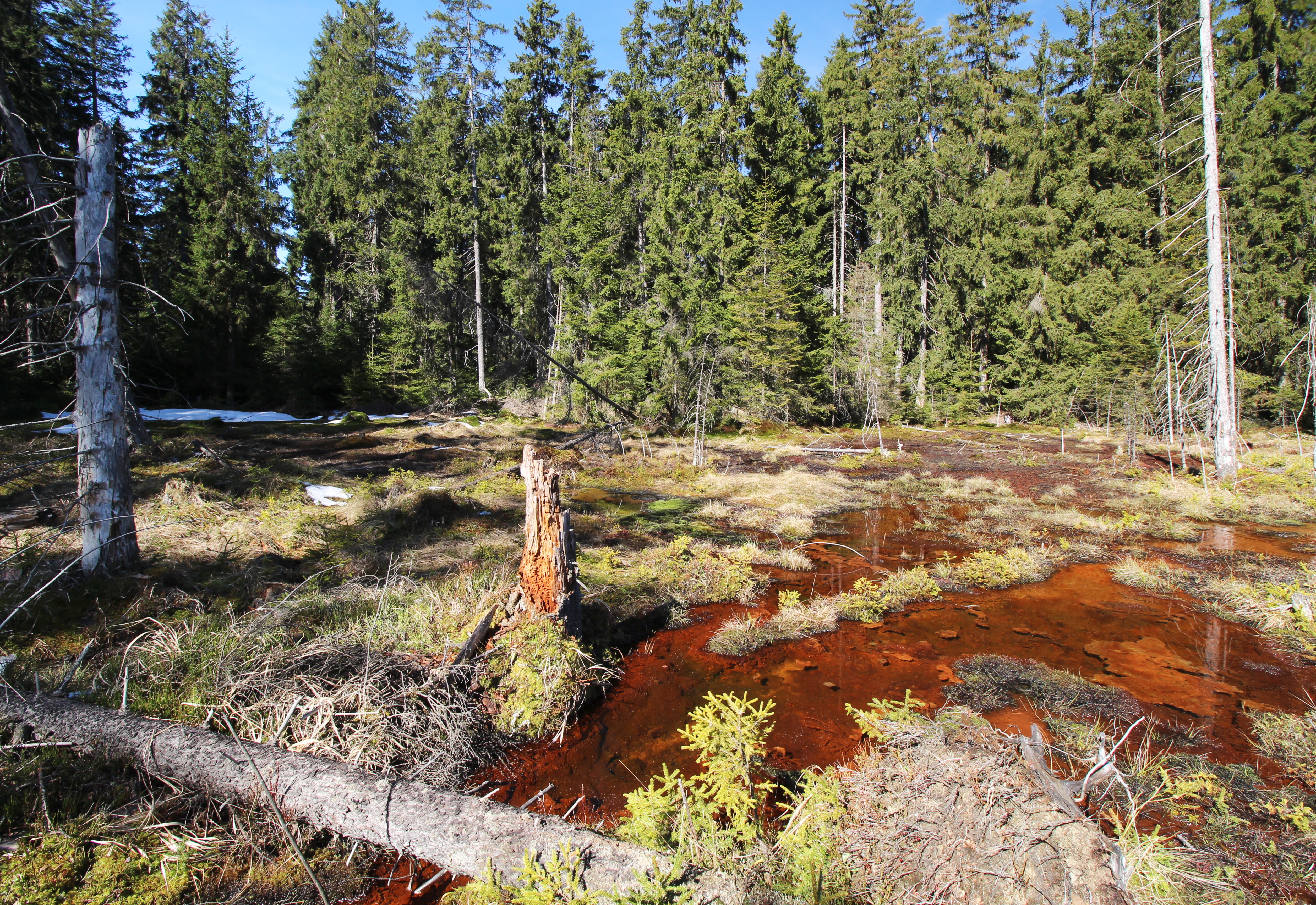 Konference Minerální vody ve Slavkovském lese