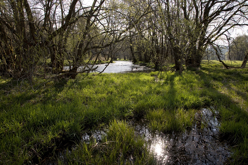 Sedimenty podél řek, Chrudimka pod Bojanovem.