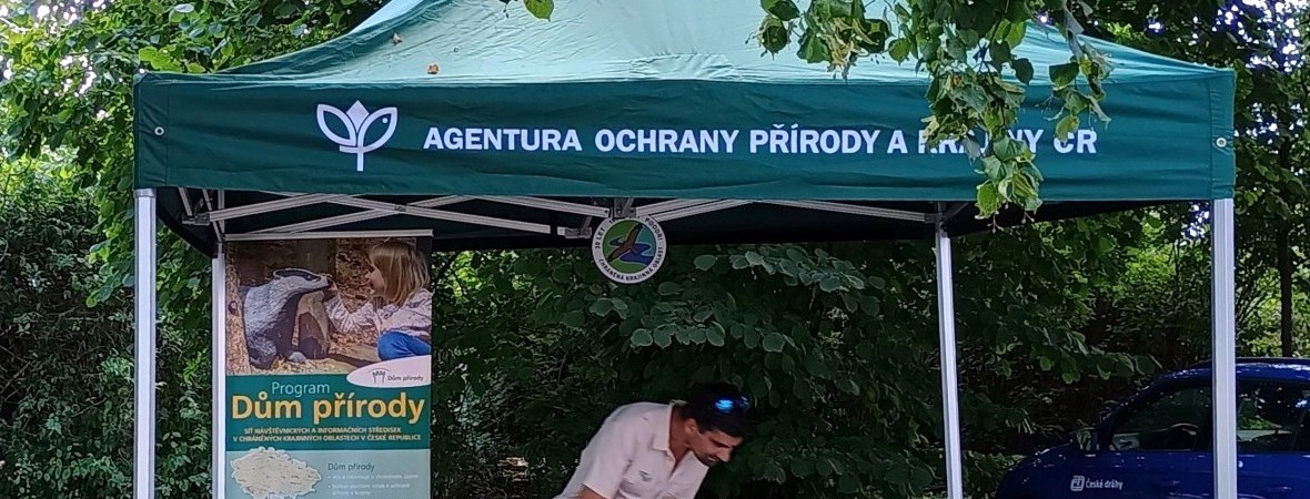 fajne léto