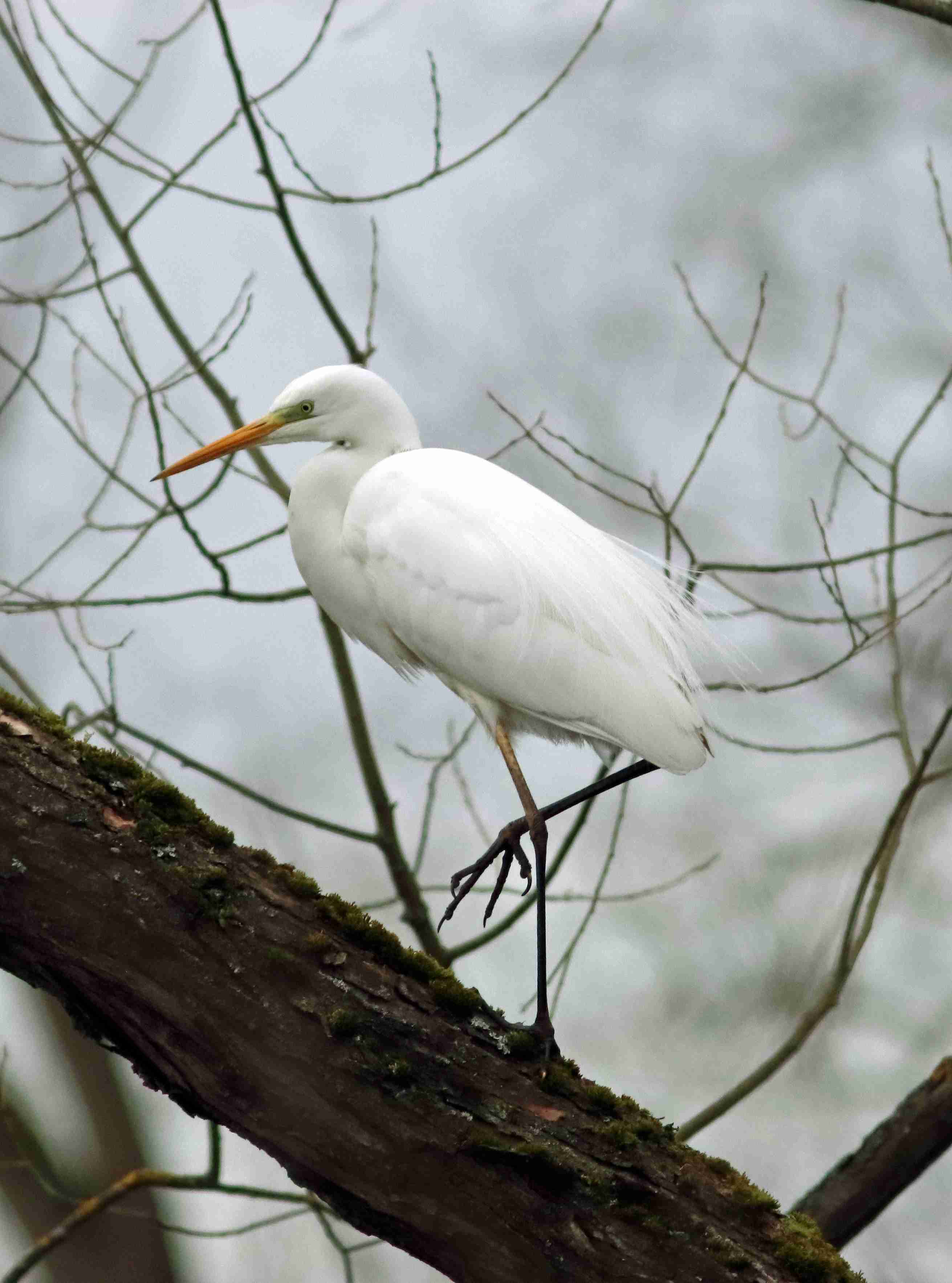 foto Ing. Jiří Neudert