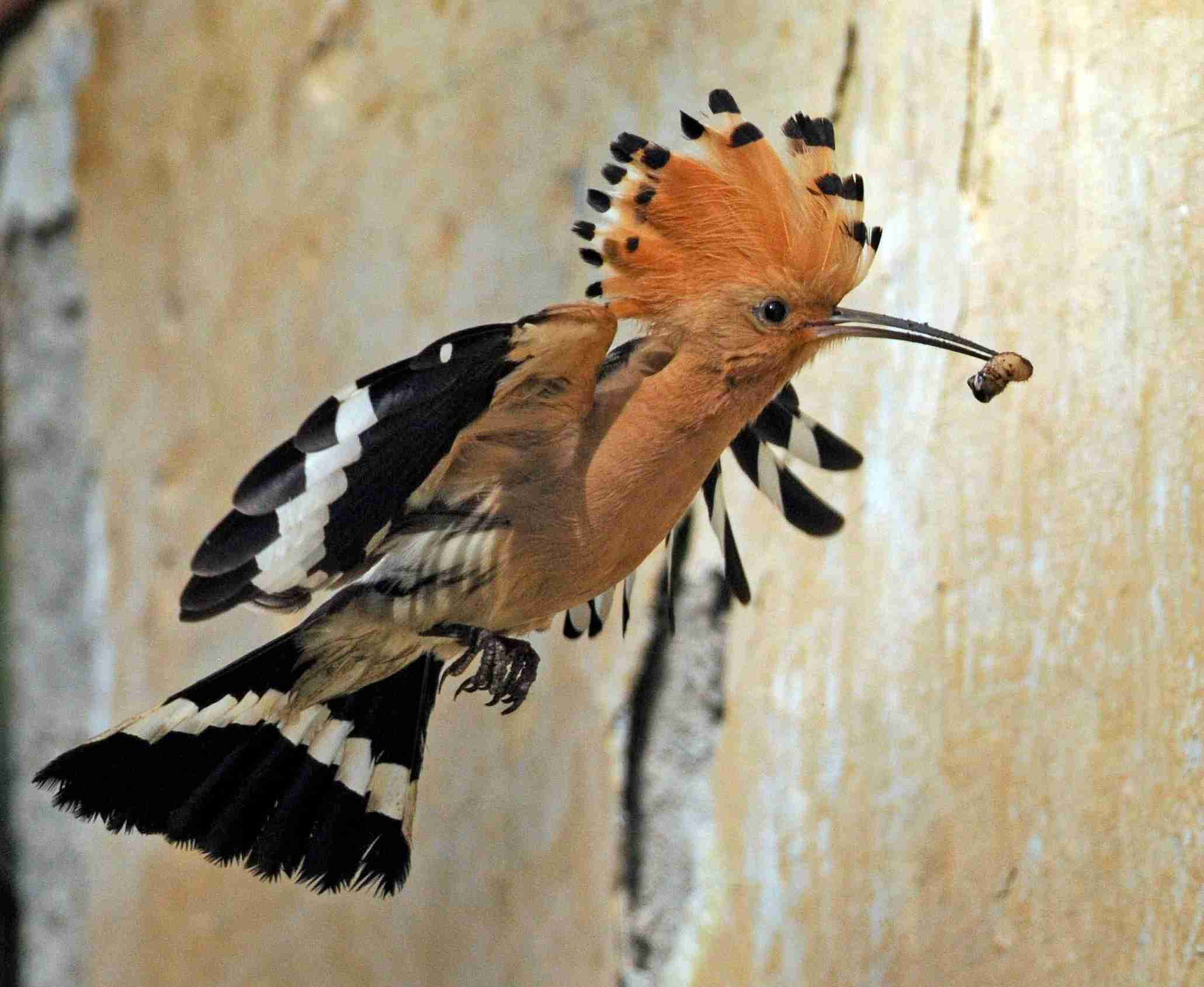 foto Ing. Jiří Neudert